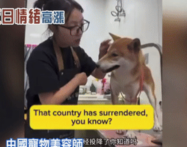 민시신문망 유튜브