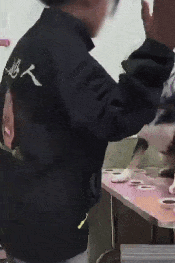 중국 애견미용사가 시바견을 일본 원산 견종이라는 이유만으로 폭행하는 영상. [웨이보 캡처]