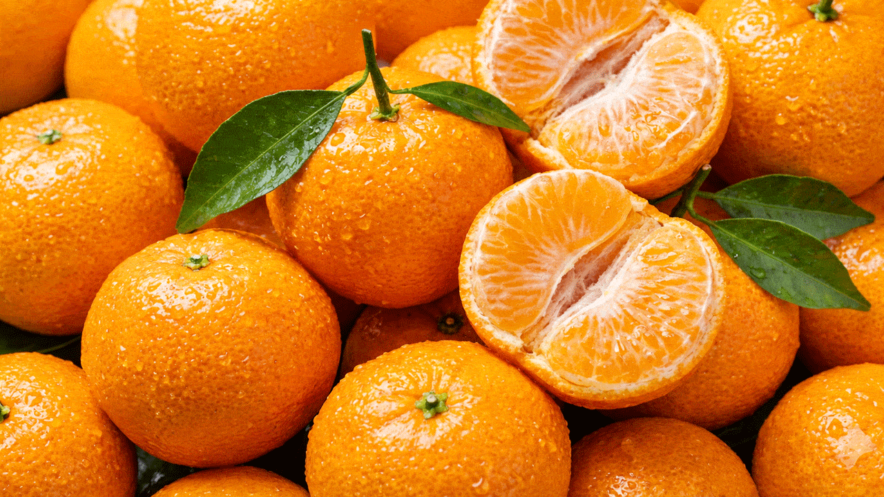 귤의 다양한 영양소와 건강 효능｜출처: Gemini 생성