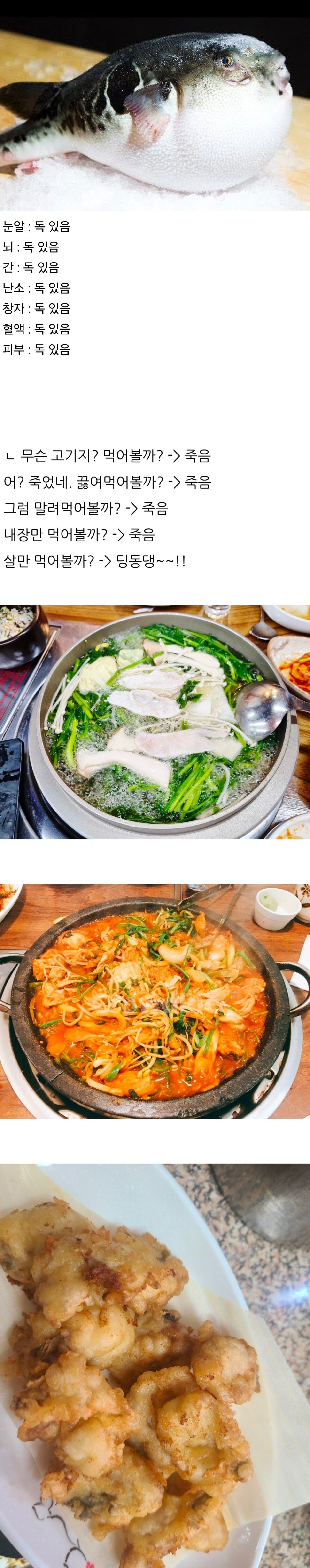 자기 먹지말라고 온몸으로 말하는 생물 | 인스티즈