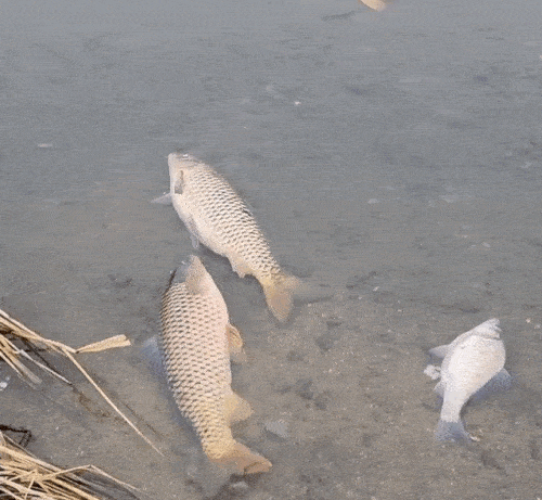 연합뉴스(독자제공)