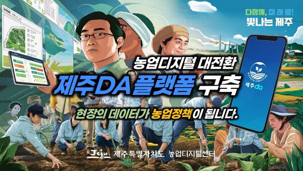 제주정제 사진 6