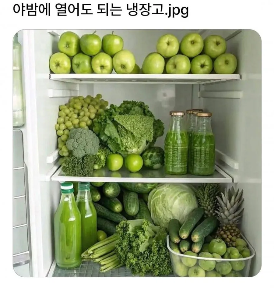 야밤에 열어도 된다는 냉장고 | 인스티즈