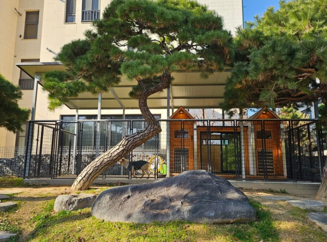 골프선수 박세리 개집 공개 | 인스티즈