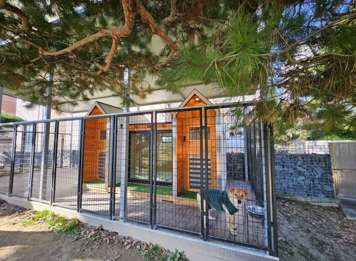 골프선수 박세리 개집 공개 | 인스티즈