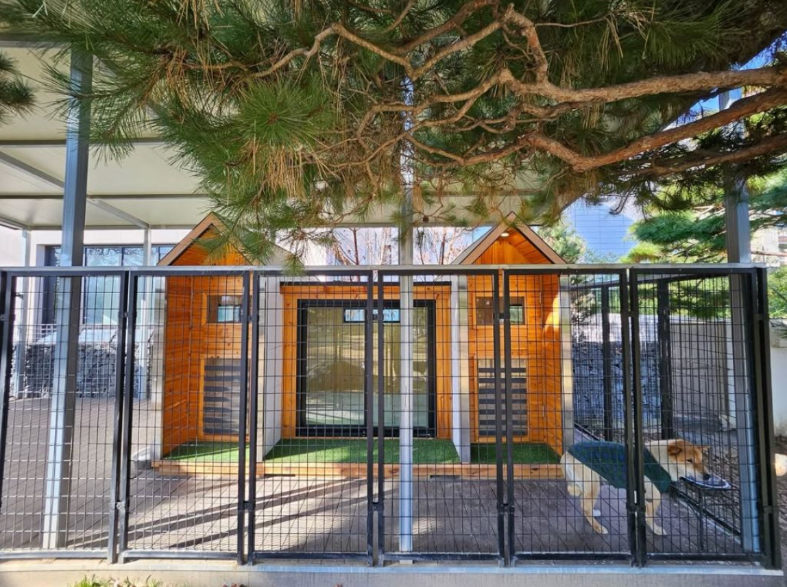 골프선수 박세리 개집 공개 | 인스티즈