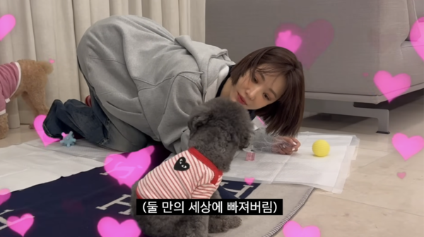 노란 수영복에 섹시한 몸매 어필하는 존예 처자