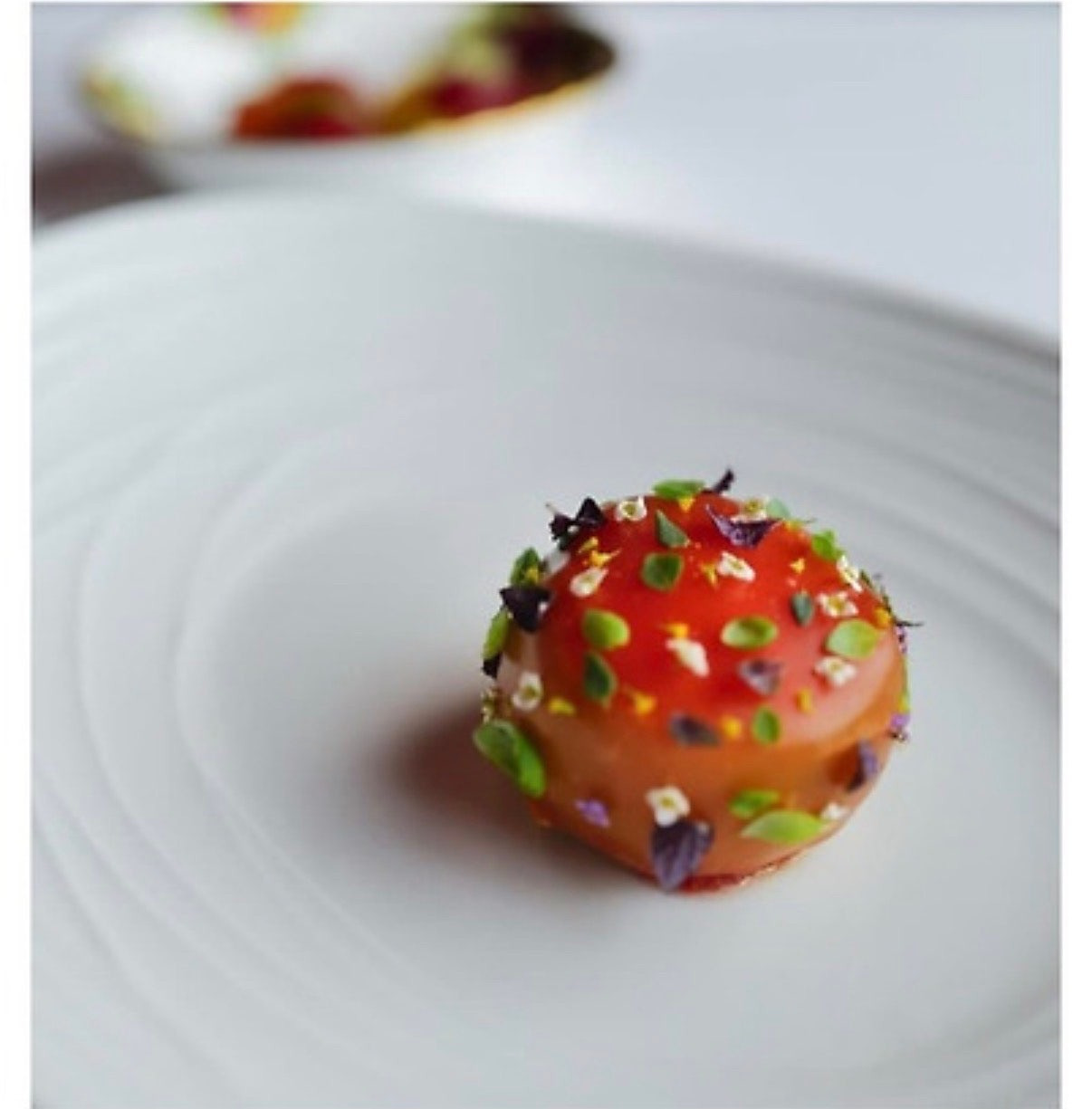 디테일 미쳤다는 손종원 셰프 식당 음식 미감 | 인스티즈