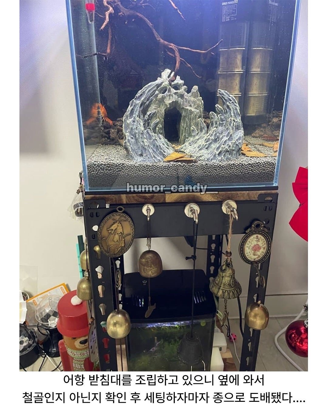 취향이 남다른 6살 아들 크리스마스 후기 | 인스티즈