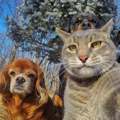 아저씨들 셀카 특징 | 인스티즈