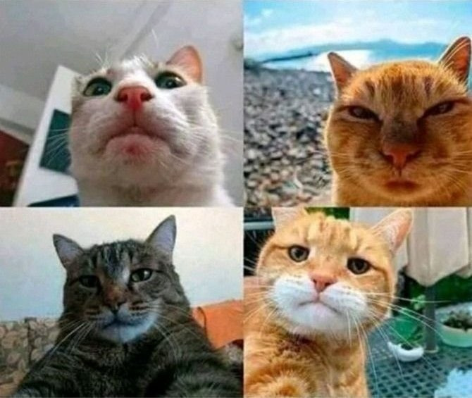 아저씨들 셀카 특징 | 인스티즈