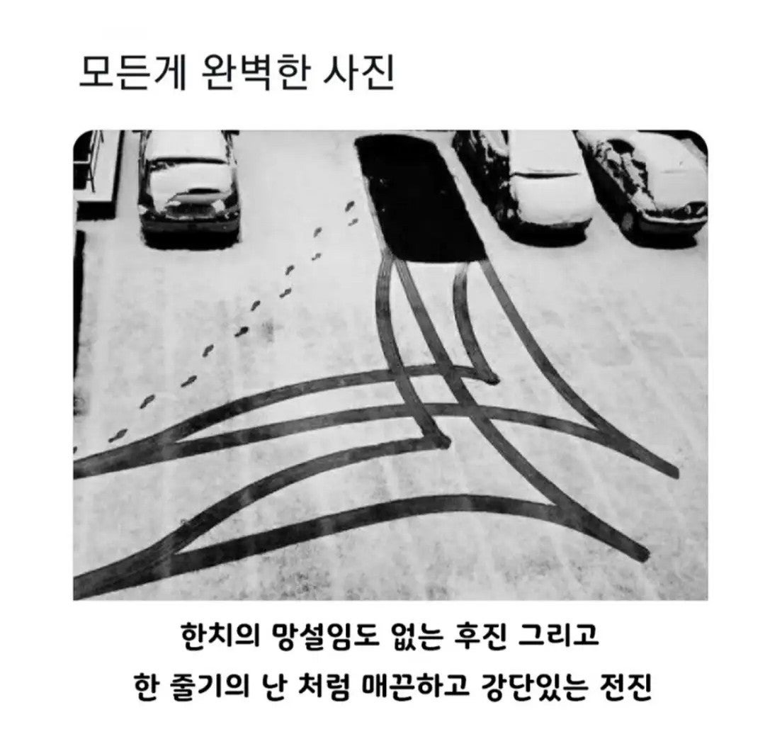 모든게 완벽한 사진 | 인스티즈