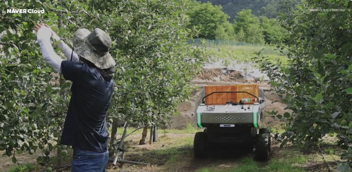 노란 수영복에 섹시한 몸매 어필하는 존예 처자