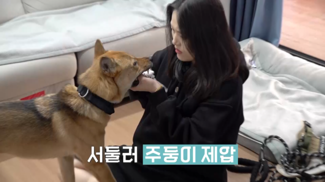 노란 수영복에 섹시한 몸매 어필하는 존예 처자