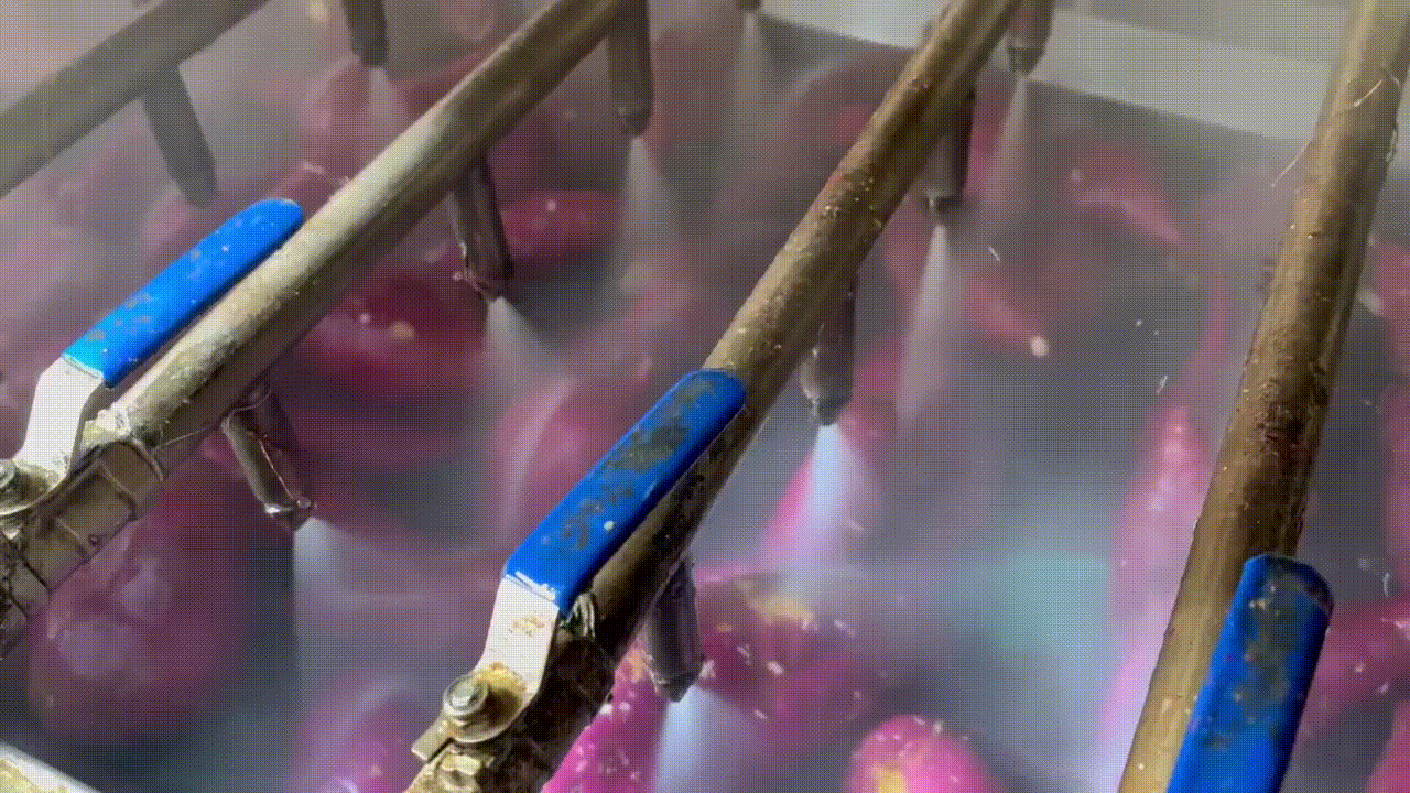 해들녘 고구마가 지하수를 사용해 고압 세척되고 있다. 박연수 기자