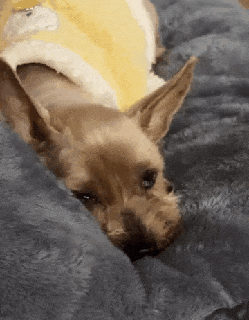 가족들을 바라보는 니루(보호자 제공) ⓒ 뉴스1