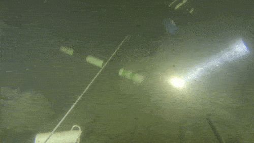 두개골 발견 당시 영상 [김경수·김수은씨 제공. 재판매 및 DB 금지]