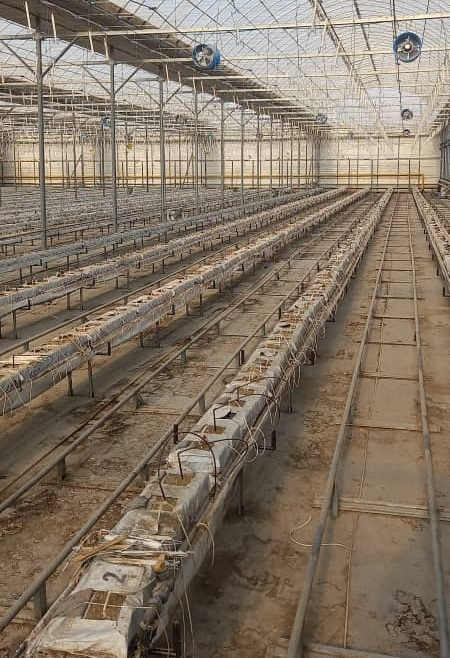 ㈜도화엔지니어링 이미지