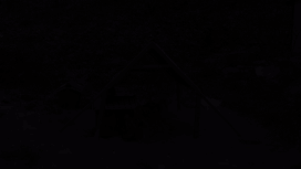 위기에서 구조까지, 말라뮤트 귀요미가 걸어온 지난 3년의 기록. 이성훈 기자