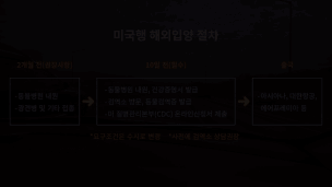 해외 입양을 앞두고 검역 절차를 밟고 있는 귀요미와 보호자 미애쌤의 모습. 미국 현지 적응을 돕기 위해 'sit', 'down' 등 영어 지시어를 활용한 행동 교육도 함께 진행됐다. 전병준 기자