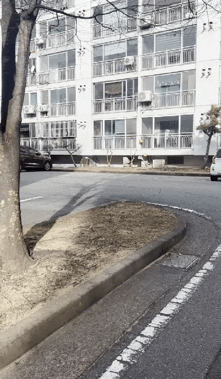 1년이 지나도 수진 씨를 알아보고 달려와 반기는 삼순이(새로) ⓒ 뉴스1