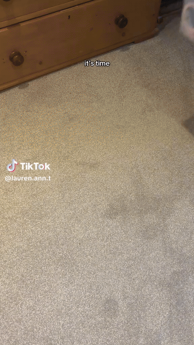 '프로젝트 팬'(Project Pan) 챌린지  영상 /영상=틱톡