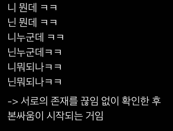 경상도 싸움의 특징.jpg | 인스티즈