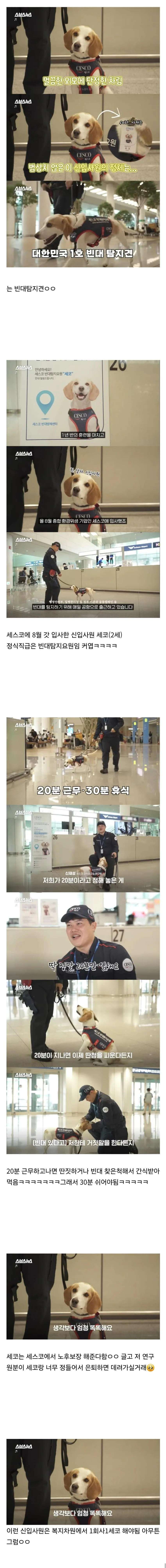 20분 일하면 30분 쉬려고 한다는 신입사원 | 인스티즈