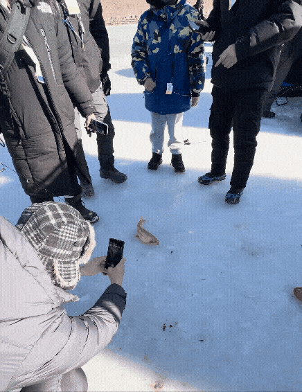 황금송어에 몰려든 방문객들 / 사진= 김지은 여행+ 기자