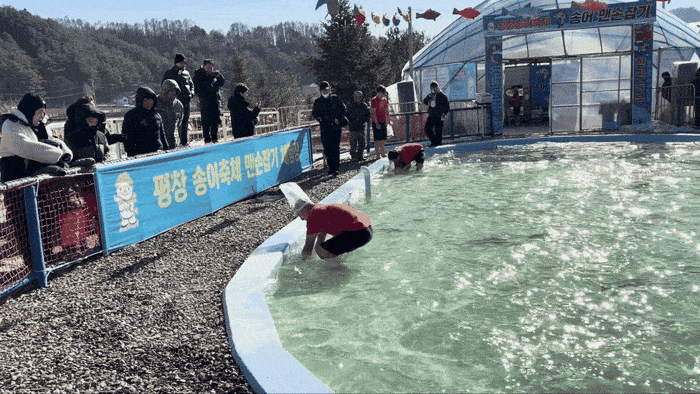 평창 송어축제 맨손잡기 / 사진= 문서연 여행+ 기자