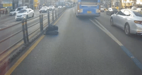 서울 종로구 한 버스전용도로 위에서 자고 있는 남성의 모습. /영상=온라인 커뮤니티 '보배드림' 갈무리