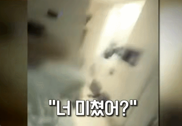 헤어진 여자친구와 싸우던 남성이 자기 반려견을 던지는 모습. /영상=JTBC '사건반장' 갈무리