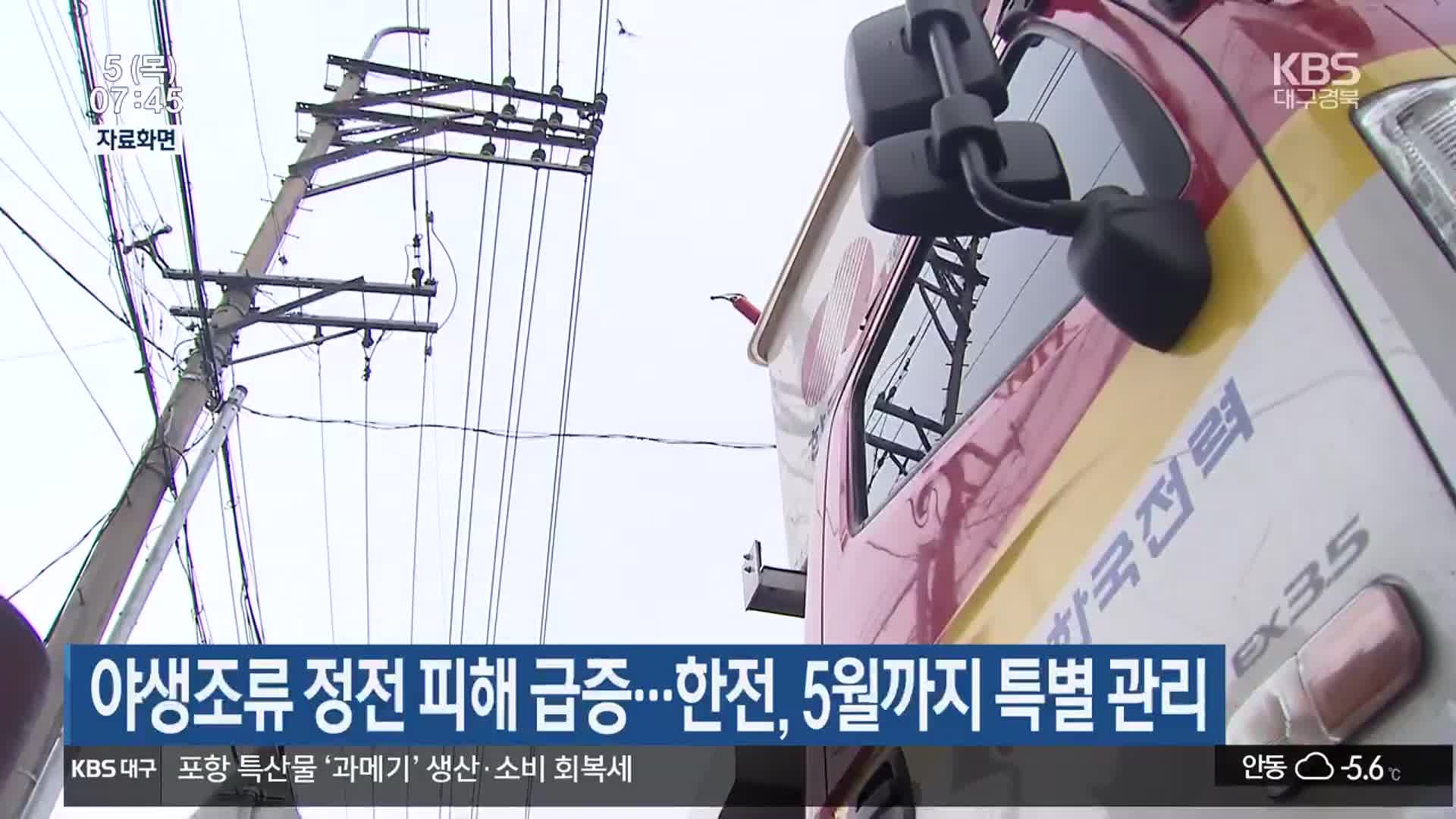 야생조류 정전 피해 급증…한전, 5월까지 특별 관리
