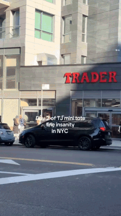 미국 뉴욕의 한 트레이더 조 매장 밖에 소비자들이 '캔버스 토트백'을 사기 위해 줄을 선 모습 /영상=틱톡