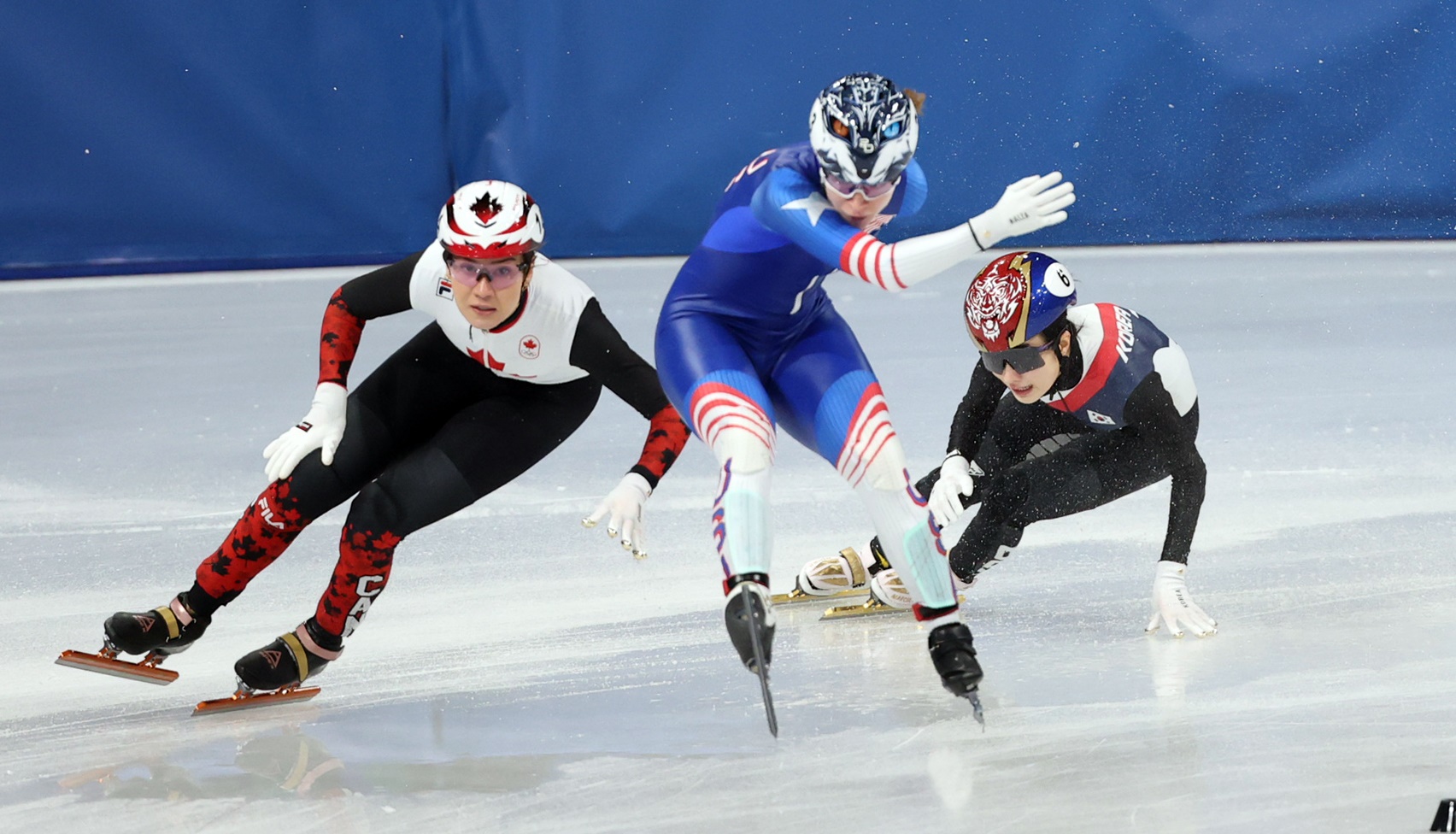 한국 쇼트트랙의 불운과 개성공단 중단 10년, 연예계 탈세 의혹