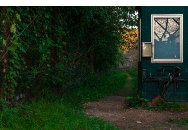 홍채원, 파주 캠프 그리브스(2019)