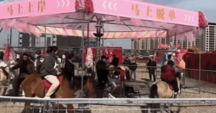 중국의 한 관광지에서 회전목마 놀이기구에 살아있는 말을 투입해 동물 학대 논란이 일자 운영을 중단했다. /영상=더우인
