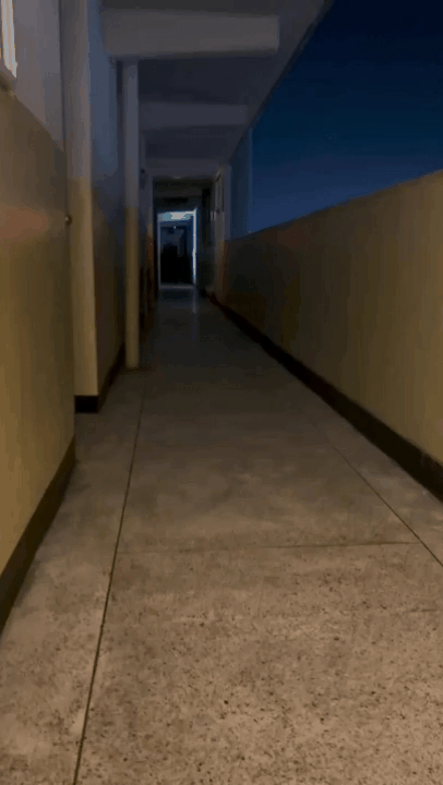 문 열리면 집에 놀러 오는 옆집 강아지 '우유'(인스타그램podopodopo 제공) ⓒ 뉴스1