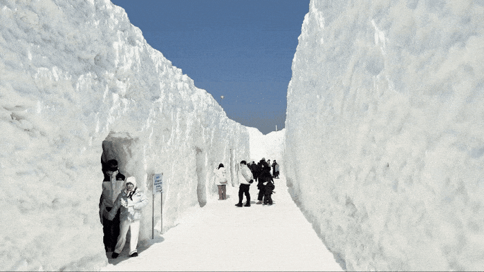 대관령눈꽃축제 대관령루트 / 사진= 문서연 여행+ 기자