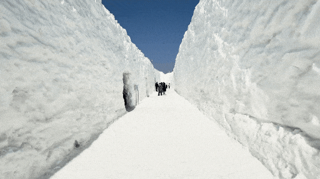 대관령눈꽃축제 대관령루트 / 사진= 문서연 여행+ 기자