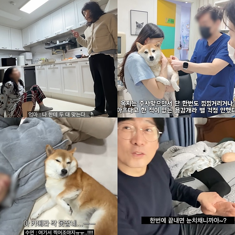 “이 집에서 개가 제일 얌전”… 유튜브 ‘옥지네’가 보여주는 다정한 소란 [김지혜의 ★ 튜브]