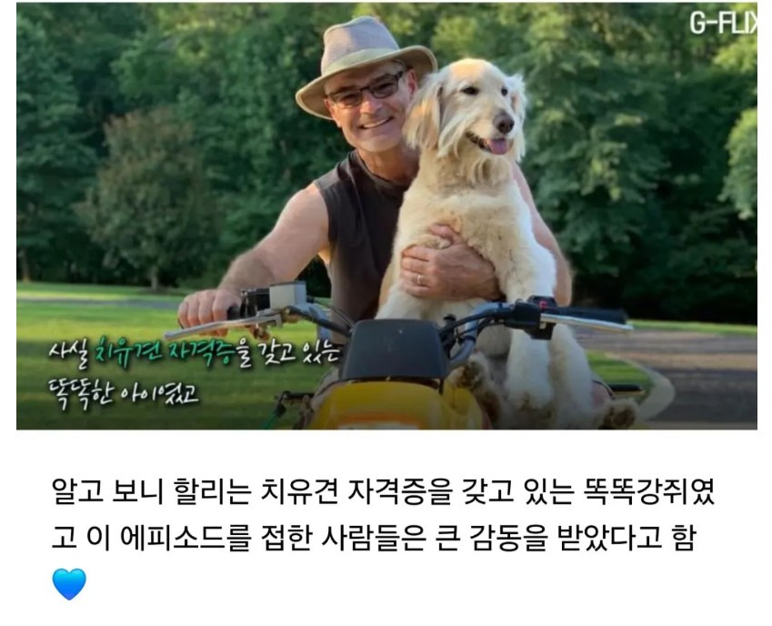 자신을 구해준 강아지를 보러온 사슴 | 인스티즈