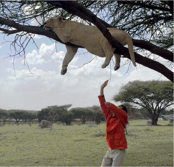 /노홍철 인스타그램