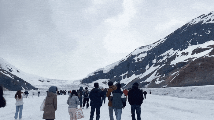 콜롬비아 아이스필드의 애서배스카 빙하 / 사진= 문서연 여행+ 기자