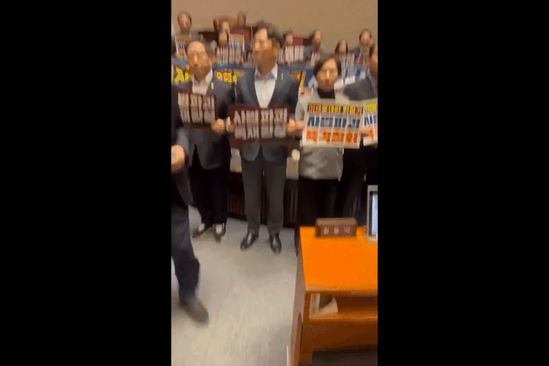 피켓으로 이해민 의원 가격하는 서명옥 의원 [조국혁신당 제공]