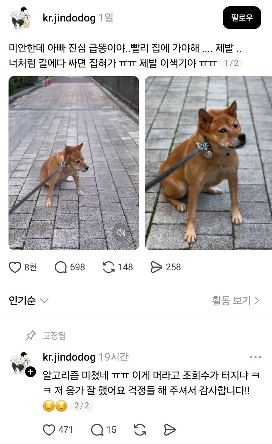 산책 중 급똥 터진 견주 | 인스티즈
