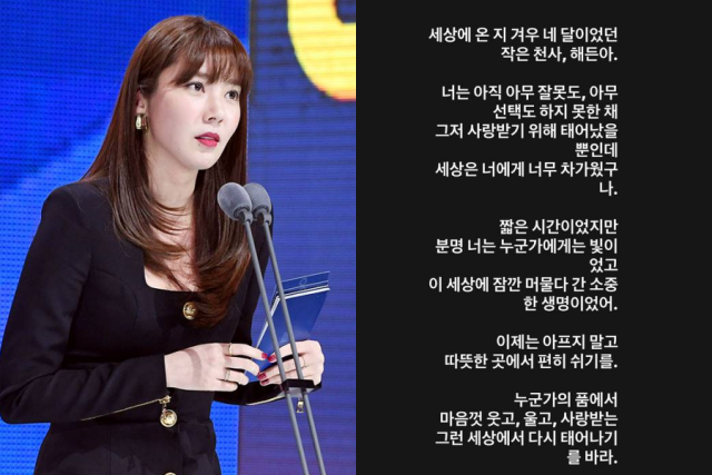 노란 수영복에 섹시한 몸매 어필하는 존예 처자