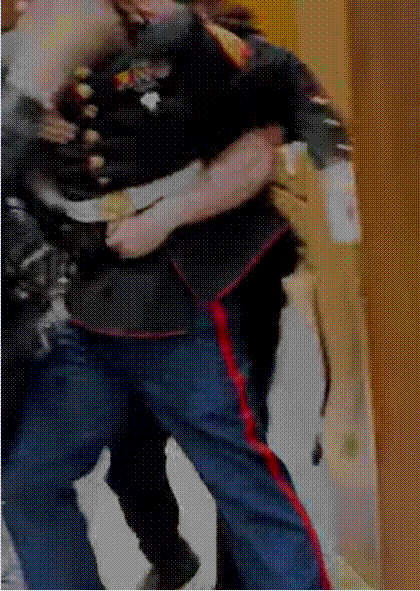 의회경찰이 맥기니스를 끌어내고 있다. /유튜브