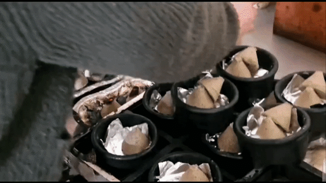 지난 4일 서울 도봉구에서 한 쑥뜸방을 운영하는 조미연(63)씨가 쑥에 불을 붙인 뒤 뜸기에 집어넣고 있다. /황채영 기자