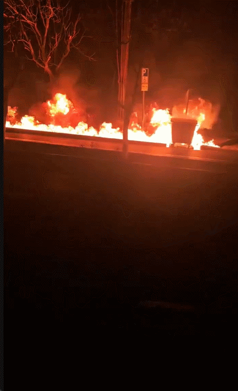 영상=엑스(X·옛 트위터)